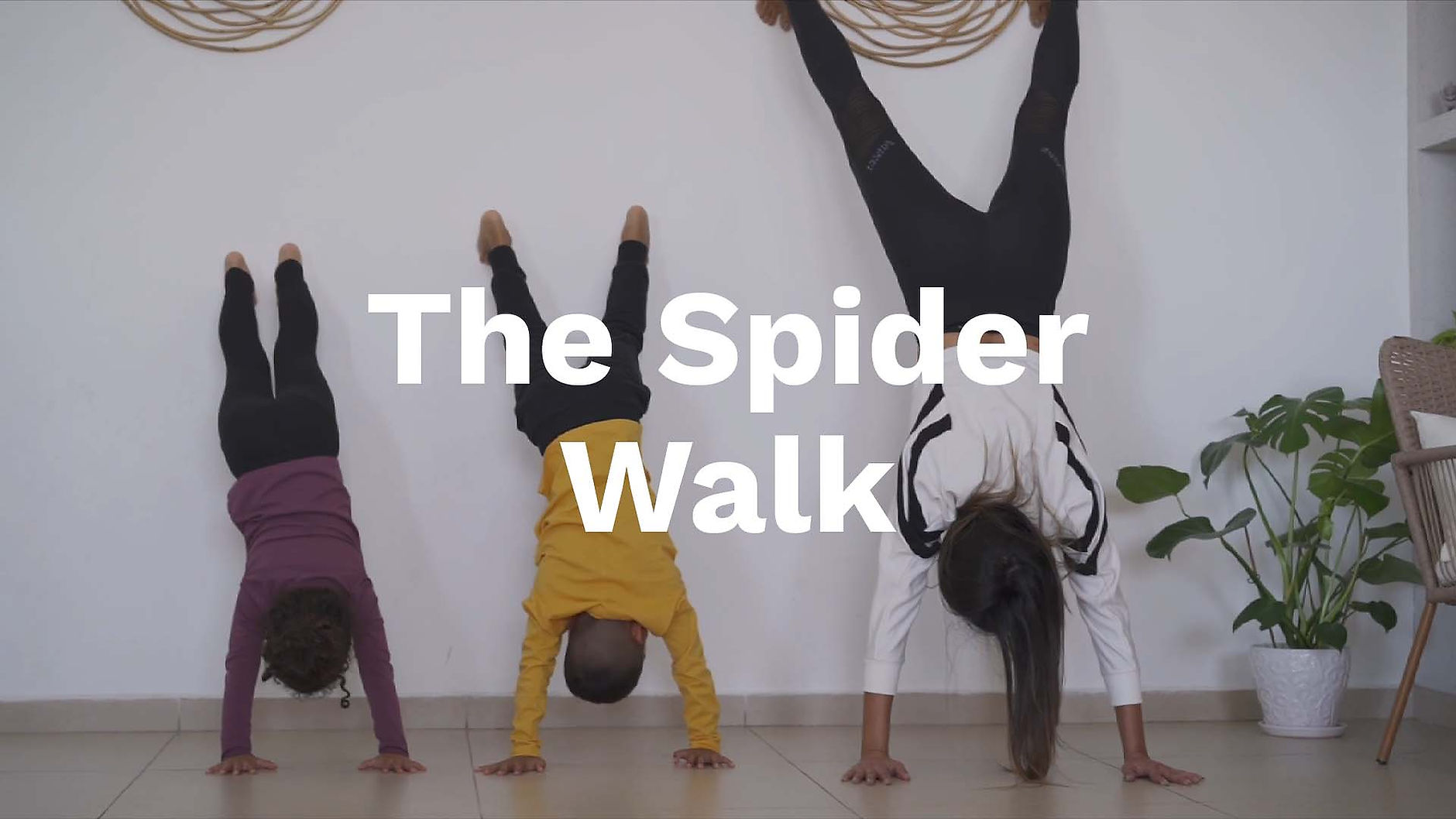 The Spider Walk